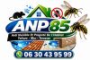 ANP85